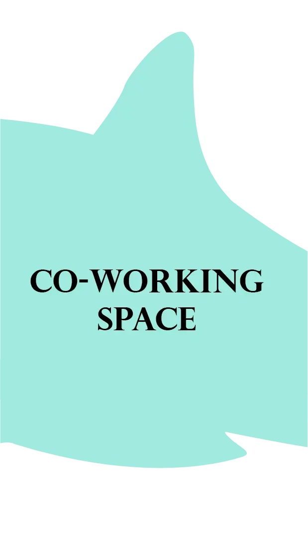 Shark Coworking Space in Noida